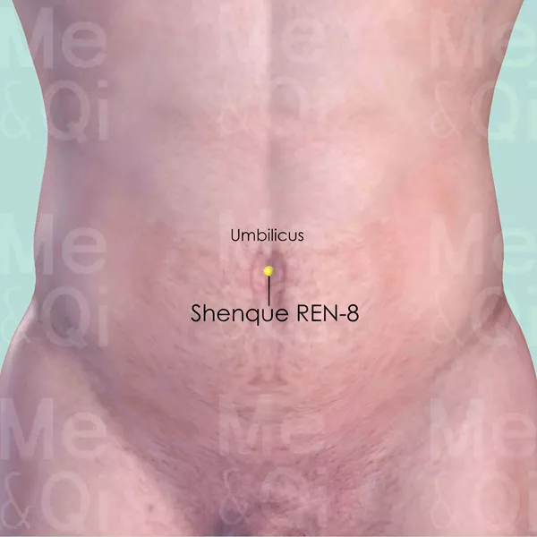 Shenque REN-8 - Skin view - Acupuncture point on Directing Vessel