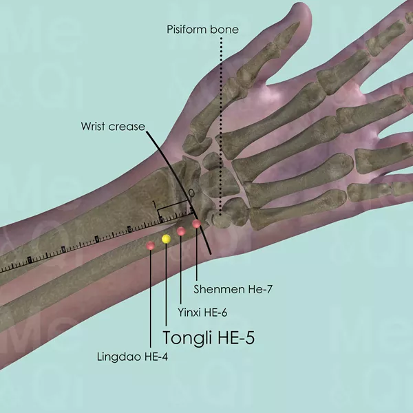 Tongli HE-5 - Bones view - Acupuncture point on Heart Channel