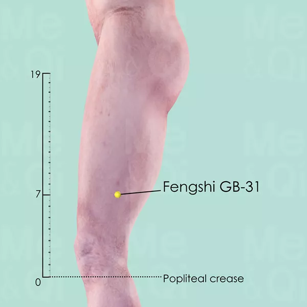 Fengshi GB-31 - Skin view - Acupuncture point on Gall Bladder Channel