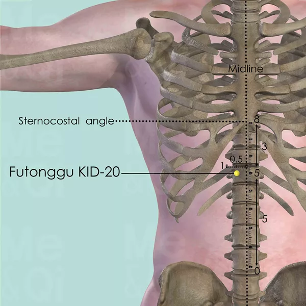 Futonggu KID-20 - Bones view - Acupuncture point on Kidney Channel