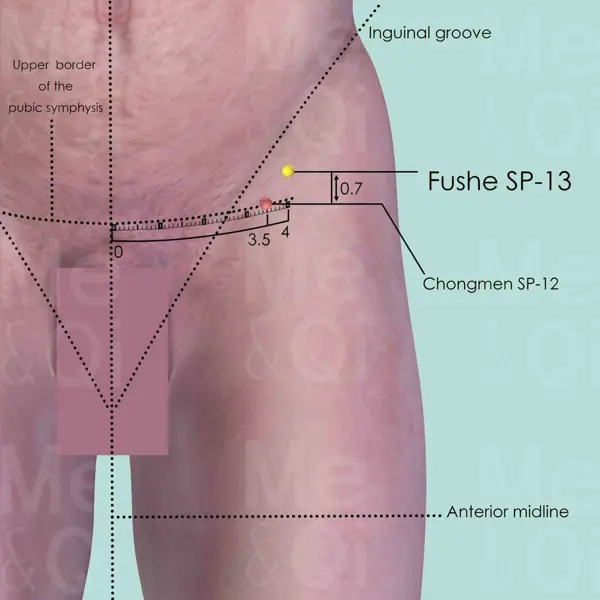 Fushe SP-13 location