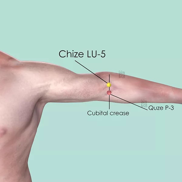 Chize LU-5 - Skin view - Acupuncture point on Lung Channel