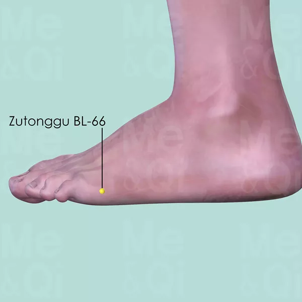 Zutonggu BL-66 - Skin view - Acupuncture point on Bladder Channel