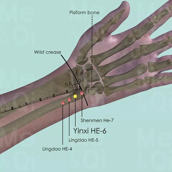 Yinxi HE-6 - Bones view - Acupuncture point on Heart Channel