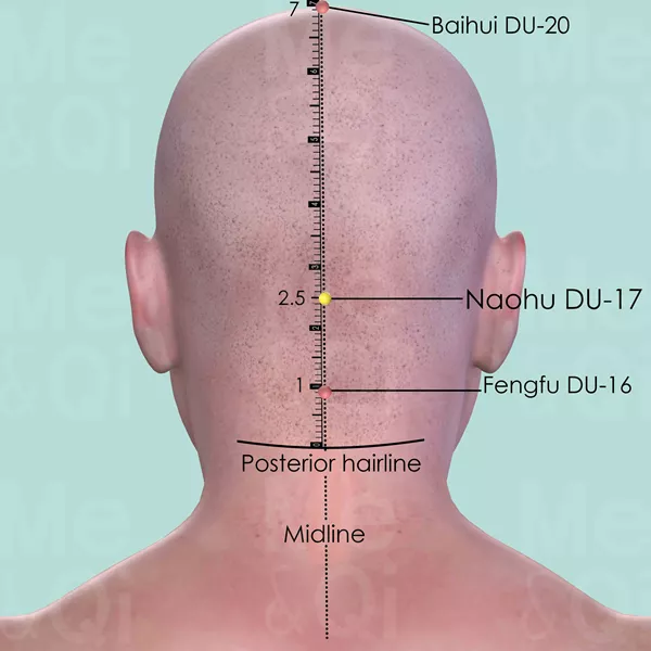 Naohu DU-17 - Skin view - Acupuncture point on Governing Vessel