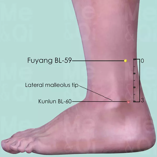 Fuyang BL-59 - Skin view - Acupuncture point on Bladder Channel