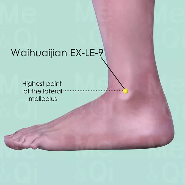 Waihuaijian EX-LE-9 - Skin view - Acupuncture point on Extra Points: Lower Extremities (EX-LE)