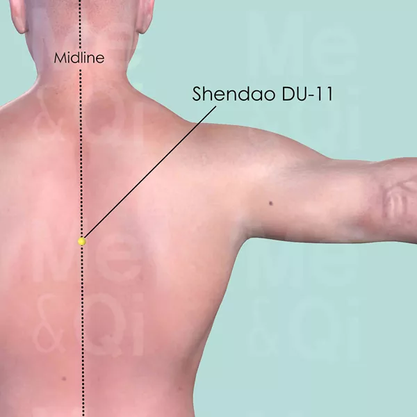 Shendao DU-11 - Skin view - Acupuncture point on Governing Vessel
