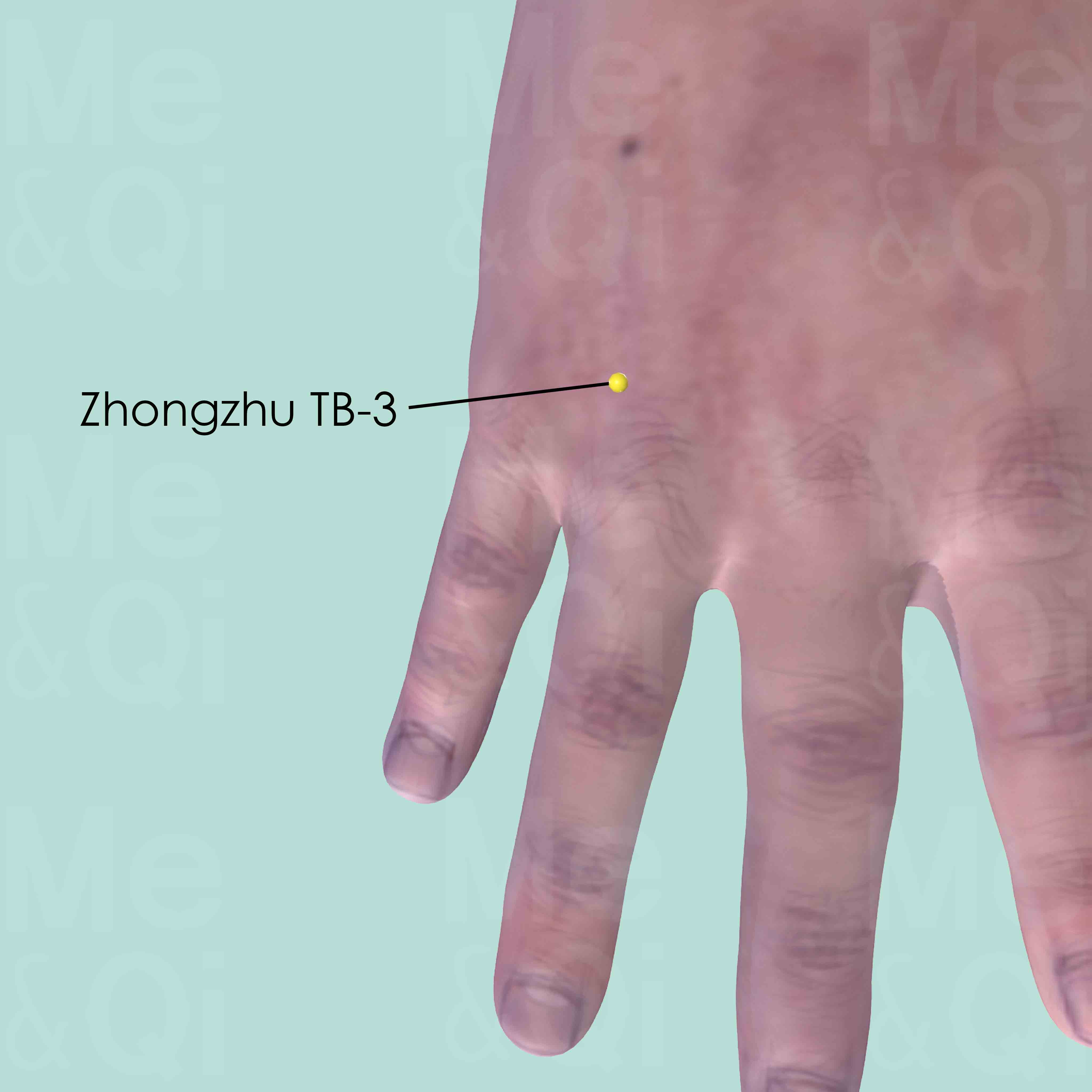 Zhongzhu TB-3