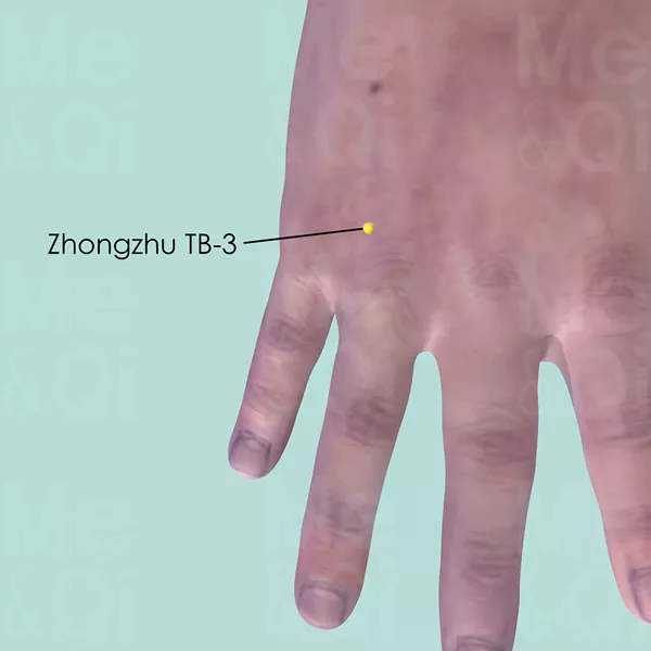 Zhongzhu TB-3 - Skin view - Acupuncture point on Triple Burner Channel