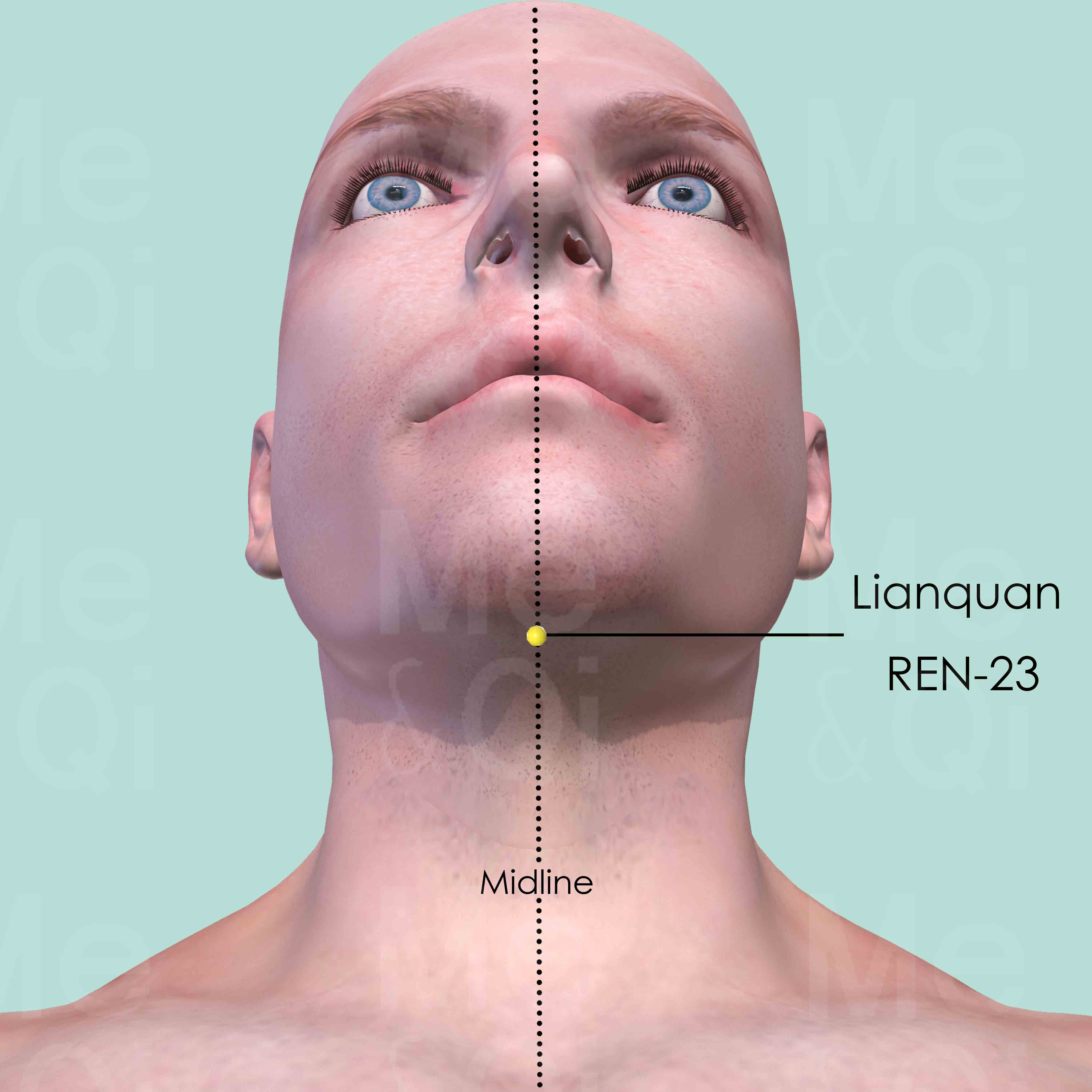 Lianquan REN-23