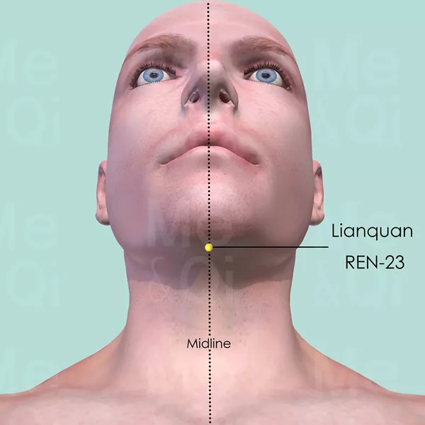 Lianquan REN-23 - Skin view - Acupuncture point on Directing Vessel