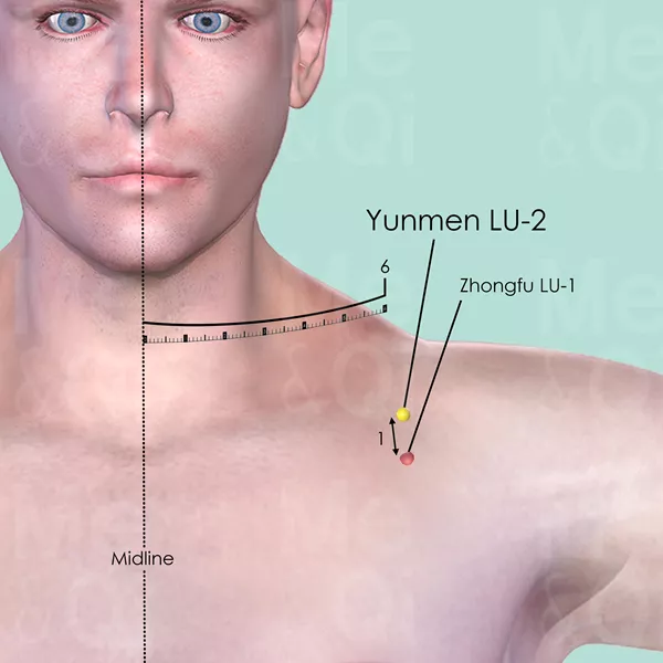 Yunmen LU-2 - Skin view - Acupuncture point on Lung Channel