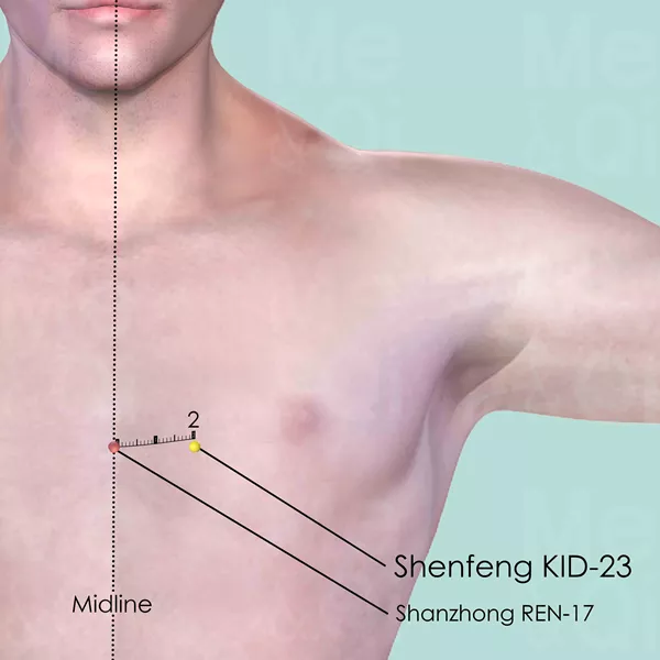 Shenfeng KID-23 - Skin view - Acupuncture point on Kidney Channel