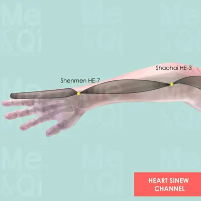 Heart Sinew Channel pathway