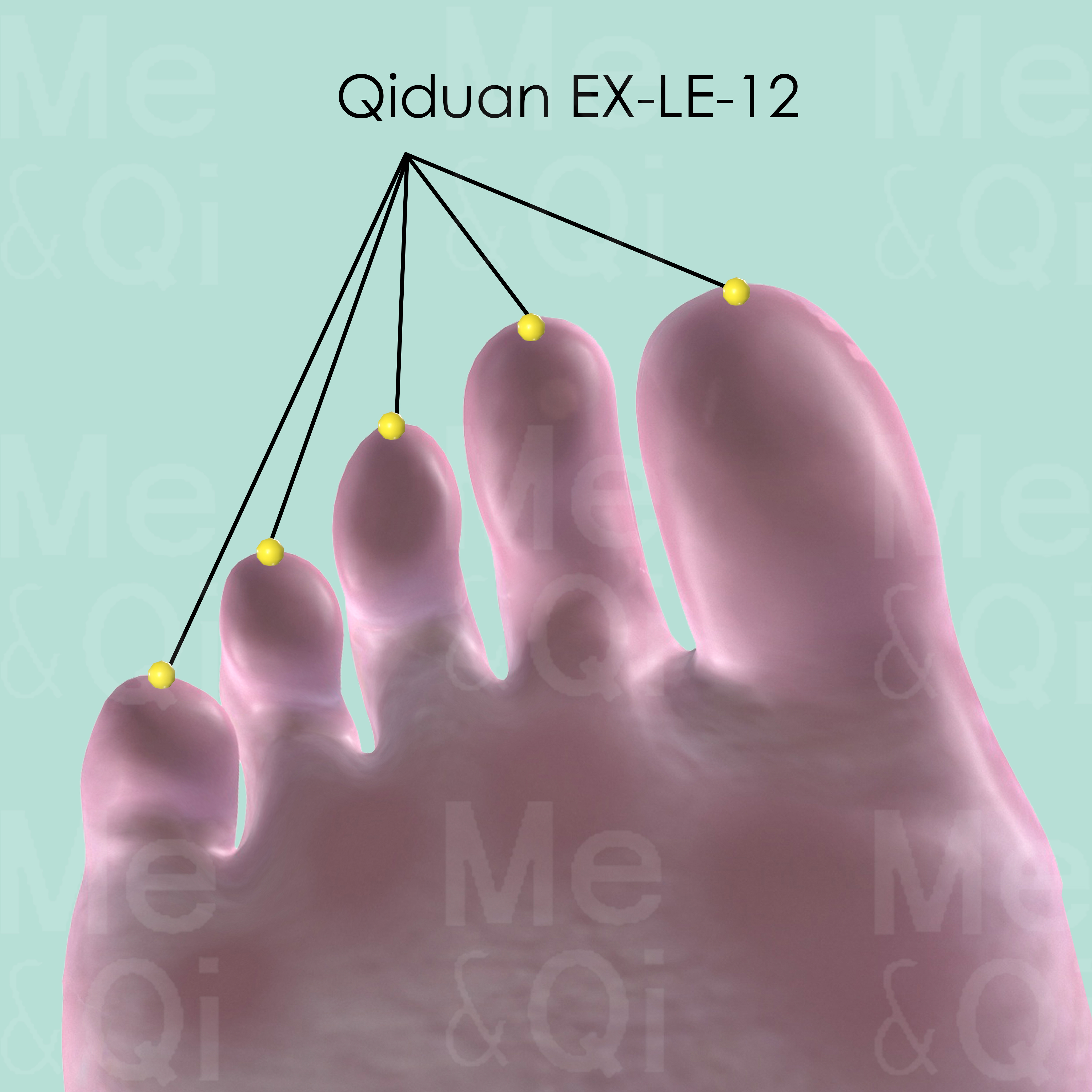 Qiduan EX-LE-12