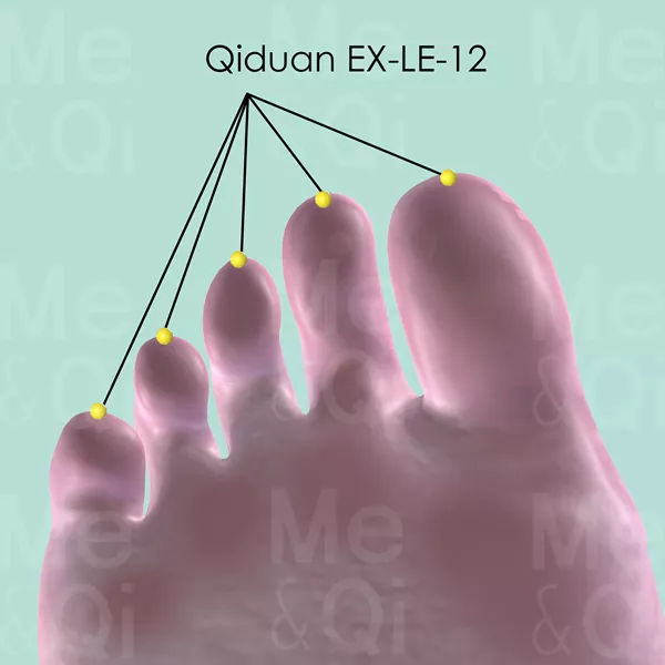 Qiduan EX-LE-12 - Skin view - Acupuncture point on Extra Points: Lower Extremities (EX-LE)