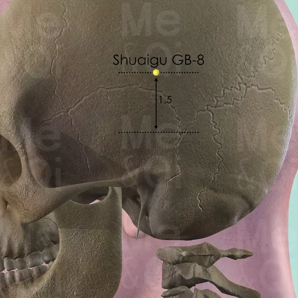 Shuaigu GB-8 - Bones view - Acupuncture point on Gall Bladder Channel