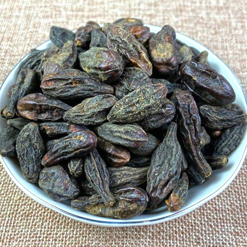 Zàng Qīng Guǒ (Terminalia Immature fruit) as TCM ingredient