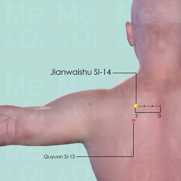 Jianwaishu SI-14 - Skin view - Acupuncture point on Small Intestine Channel