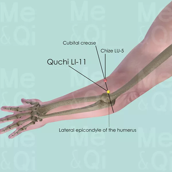 Quchi LI-11 - Bones view - Acupuncture point on Large Intestine Channel