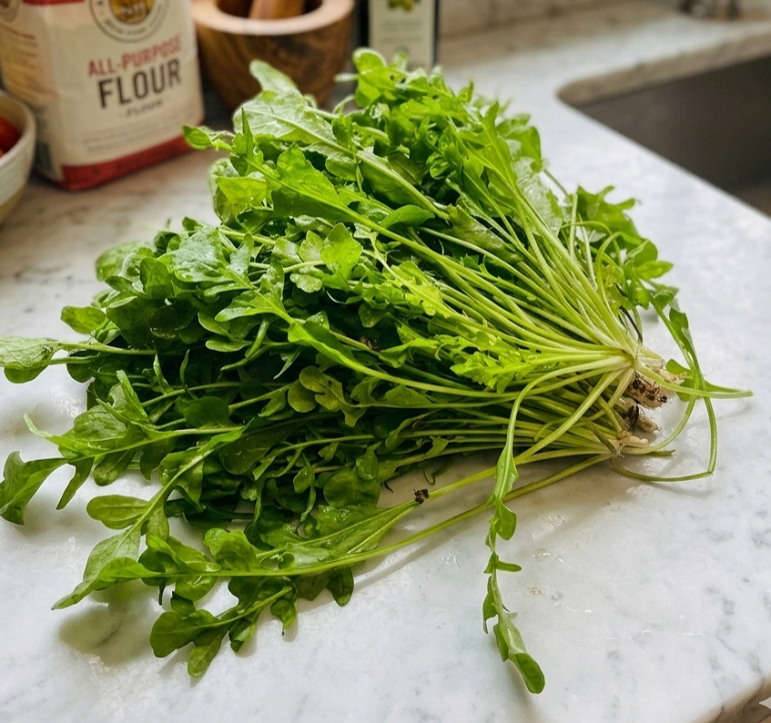 Ji Cai (Shepherd's purse) plant