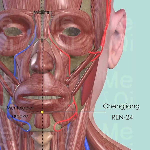 Chengjiang REN-24 - Muscles view - Acupuncture point on Directing Vessel