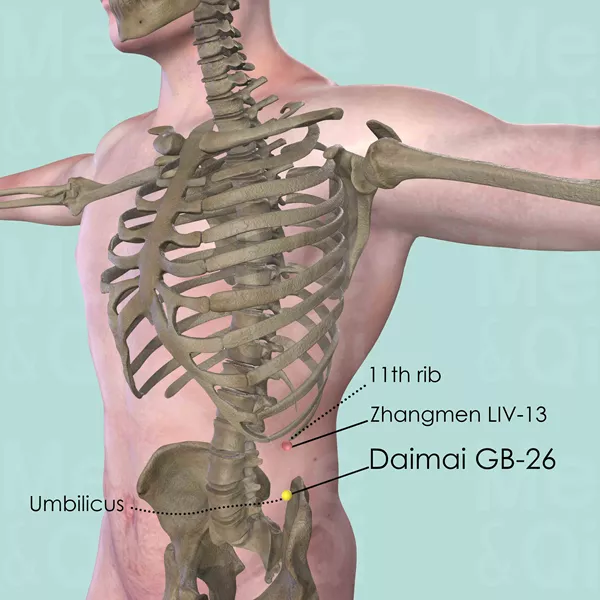 Daimai GB-26 - Bones view - Acupuncture point on Gall Bladder Channel