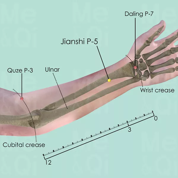 Jianshi P-5 - Bones view - Acupuncture point on Pericardium Channel