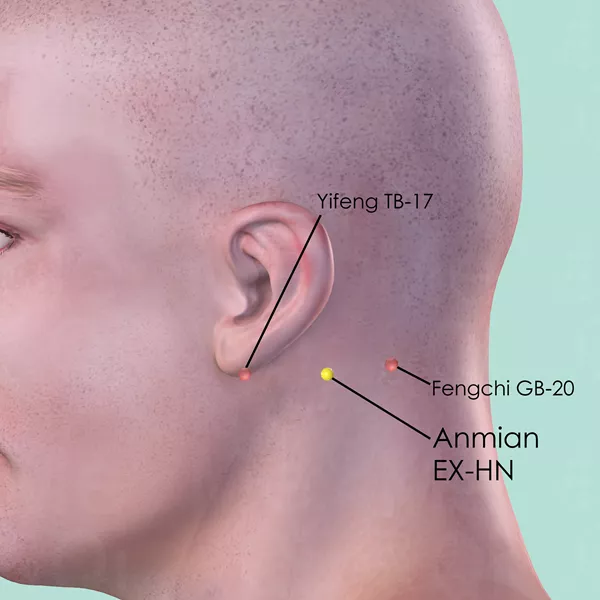 Anmian EX-HN - Skin view - Acupuncture point on Extra Points: Head and Neck (EX-HN)
