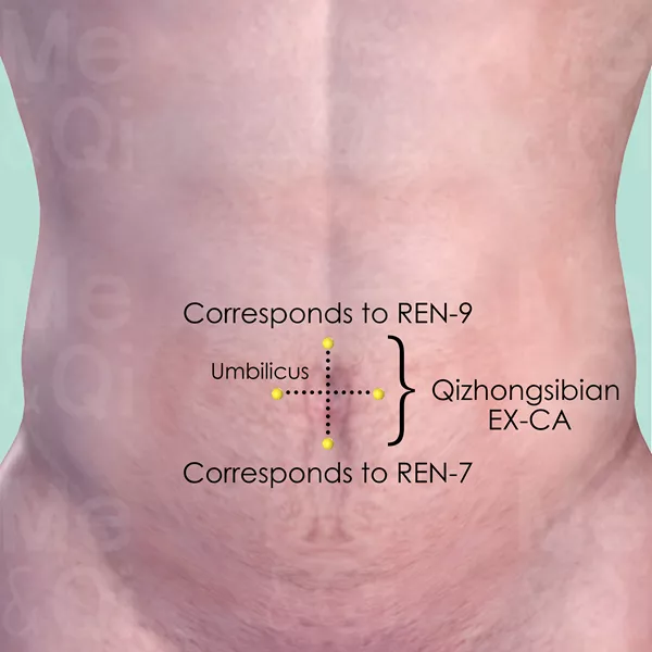Qizhongsibian EX-CA - Skin view - Acupuncture point on Extra Points: Chest and Abdomen (EX-CA)