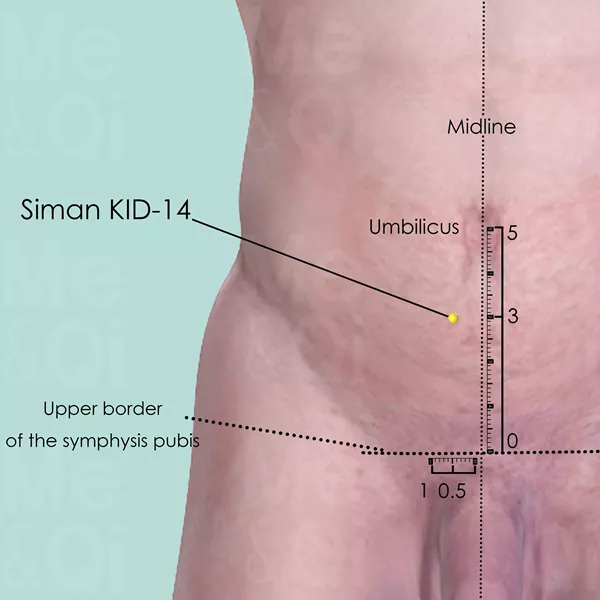 Siman KID-14 - Skin view - Acupuncture point on Kidney Channel