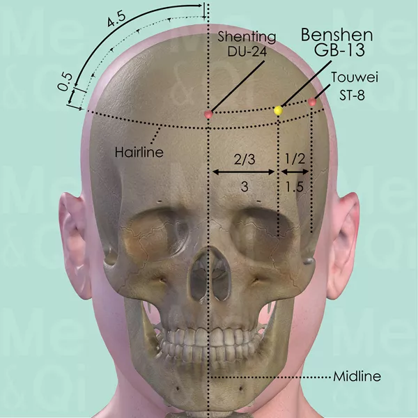 Benshen GB-13 - Bones view - Acupuncture point on Gall Bladder Channel