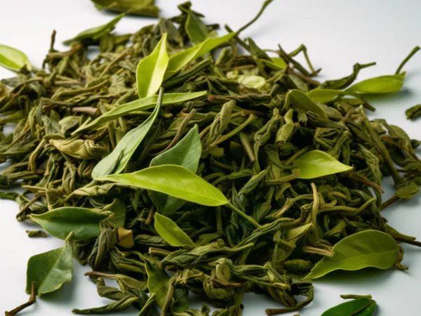 Lv Cha  (Green tea) in Chinese Medicine