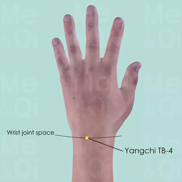 Yangchi TB-4 - Skin view - Acupuncture point on Triple Burner Channel