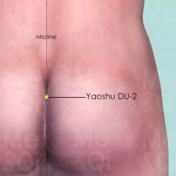 Yaoshu DU-2 - Skin view - Acupuncture point on Governing Vessel
