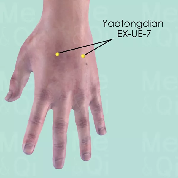 Yaotongdian EX-UE-7 - Skin view - Acupuncture point on Extra Points: Upper Extremities (EX-UE)