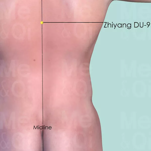Zhiyang DU-9 - Skin view - Acupuncture point on Governing Vessel