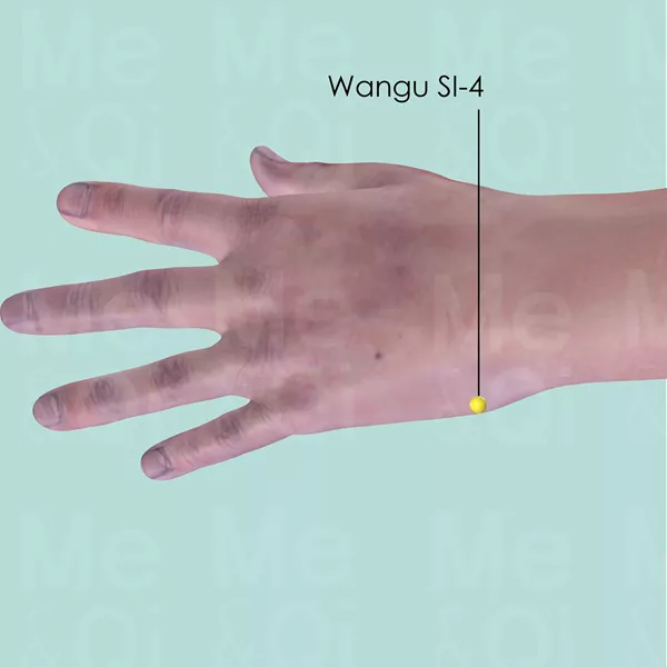 Wangu SI-4 - Skin view - Acupuncture point on Small Intestine Channel