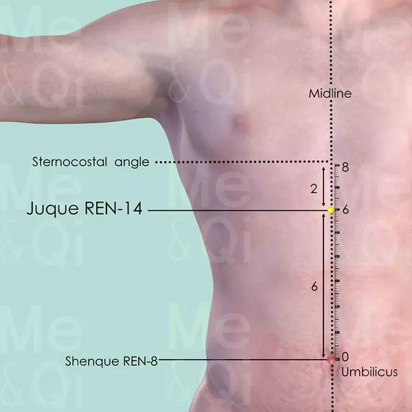 Juque REN-14 - Skin view - Acupuncture point on Directing Vessel