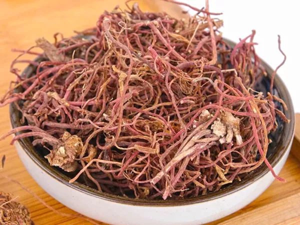 What Aster root  looks like as a TCM ingredient