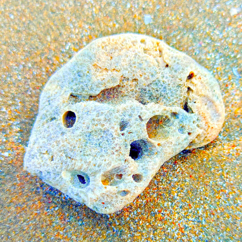 Hǎi Fú Shí (Pumice) plant