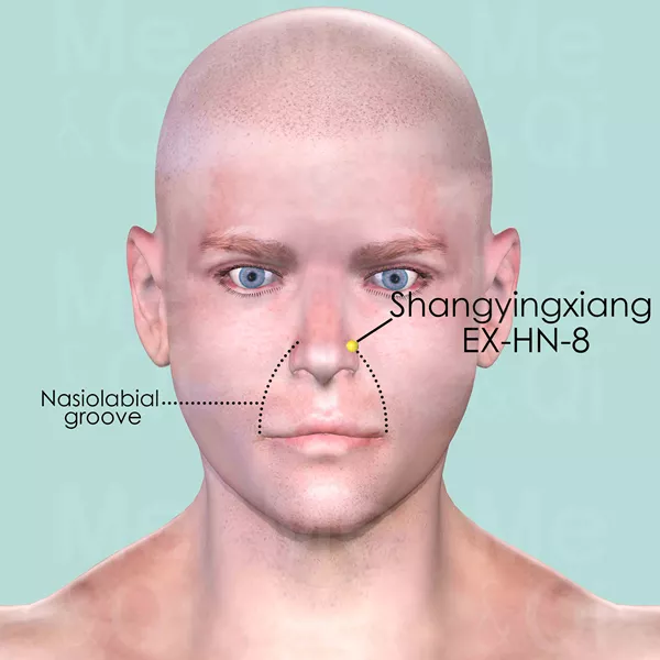 Shangyingxiang EX-HN-8 - Skin view - Acupuncture point on Extra Points: Head and Neck (EX-HN)
