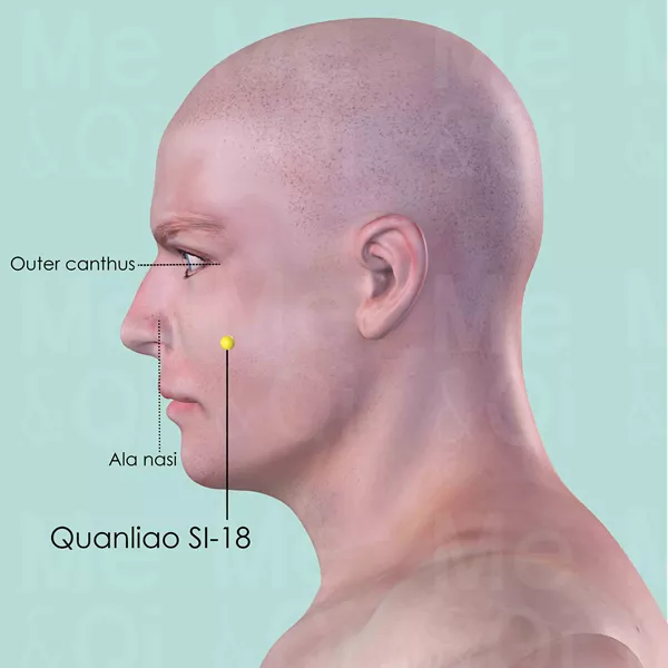 Quanliao SI-18 - Skin view - Acupuncture point on Small Intestine Channel