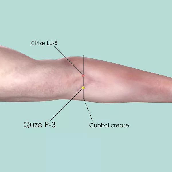 Quze P-3 - Skin view - Acupuncture point on Pericardium Channel