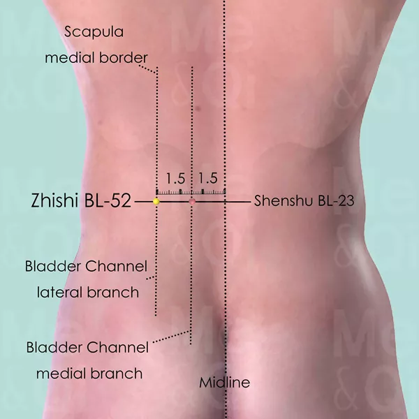 Zhishi BL-52 - Skin view - Acupuncture point on Bladder Channel