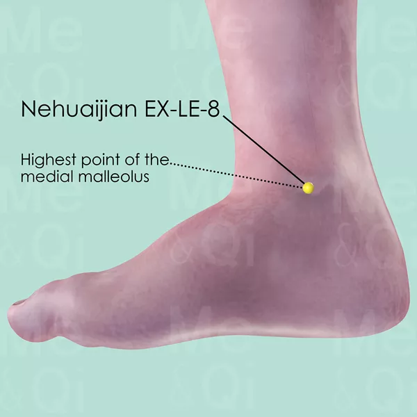 Neihuaijian EX-LE-8 - Skin view - Acupuncture point on Extra Points: Lower Extremities (EX-LE)