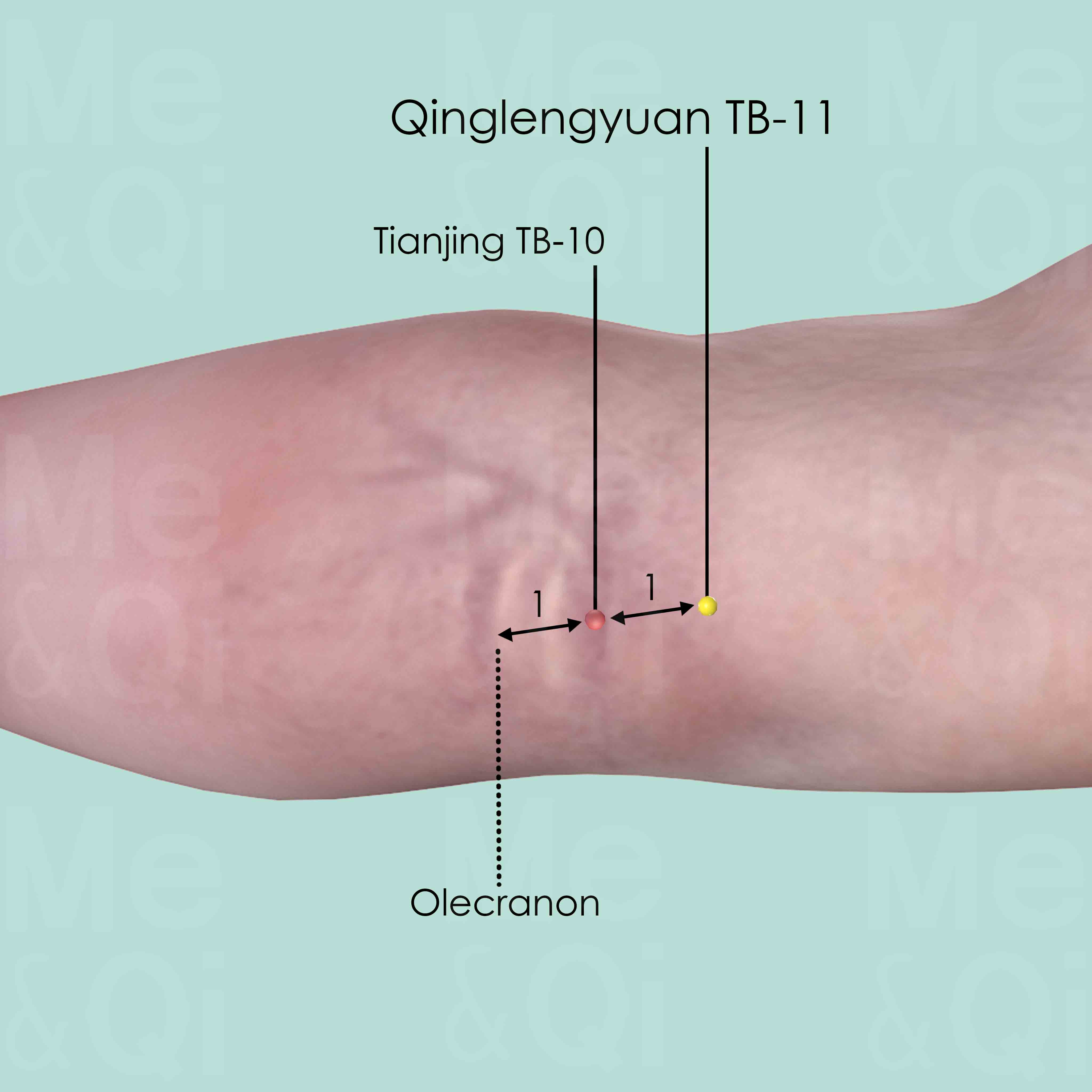 Qinglengyuan TB-11