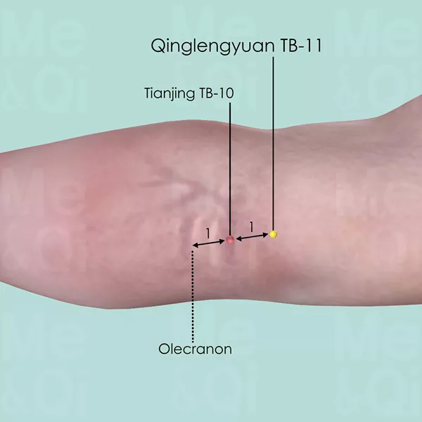 Qinglengyuan TB-11 - Skin view - Acupuncture point on Triple Burner Channel