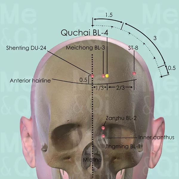 Qucha BL-4 - Bones view - Acupuncture point on Bladder Channel